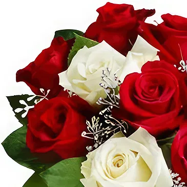 China flowers  -  Romantic Red and White Rose Bouquet  Flower Bouquet/Arrangement