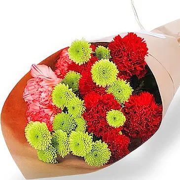 China flowers  -  Elegant Carnation and Chrysanthemum Bouquet Flower Bouquet/Arrangement
