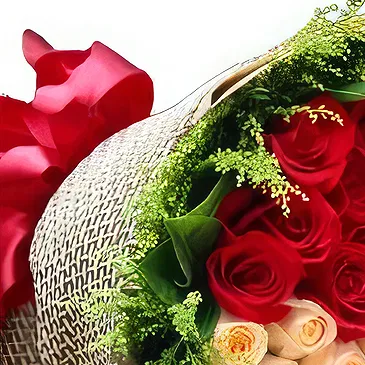 Qingdao flowers  -  Luxury Red, White, and Champagne Rose Floral  Flower Bouquet/Arrangement