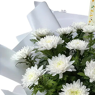 Shanghai flowers  -  Fresh White Chrysanthemum Flower Bouquet  Flower Bouquet/Arrangement