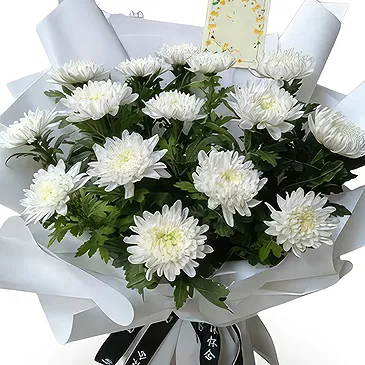 Shanghai flowers  -  Fresh White Chrysanthemum Flower Bouquet  Flower Bouquet/Arrangement