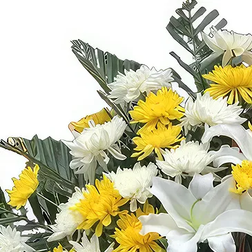 China flowers  -  Elegant White and Yellow Chrysanthemums Bouqu Flower Bouquet/Arrangement
