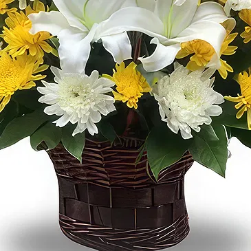 China flowers  -  Elegant White and Yellow Chrysanthemums Bouqu Flower Bouquet/Arrangement