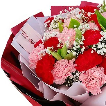 fleuriste fleurs de Linzhou Shi- De charmants œillets avec du gypsophile Bouquet/Arrangement floral