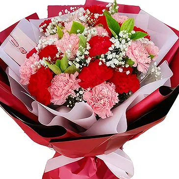 fleuriste fleurs de Linzhou Shi- De charmants œillets avec du gypsophile Bouquet/Arrangement floral