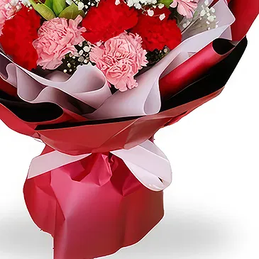 fleuriste fleurs de Linzhou Shi- De charmants œillets avec du gypsophile Bouquet/Arrangement floral