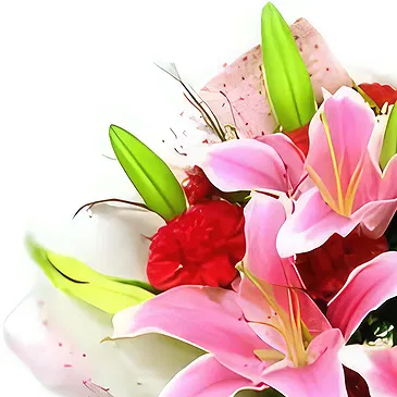 China flowers  -  Romantic Red Carnations and Pink Lilies Bouqu Flower Bouquet/Arrangement