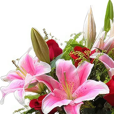 China flowers  -  Elegant Red Roses with Soft Pink Lilies Arran Flower Bouquet/Arrangement