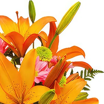 Asipulo flowers  -  Exotic Orange Flower Bouquet/Arrangement