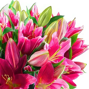 Asipulo flowers  -  Stunning Pink Flower Bouquet/Arrangement