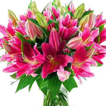 Asipulo flowers  -  Stunning Pink Flower Bouquet/Arrangement