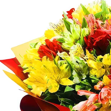 Subic flowers  -  Peruvian Lilies Flower Bouquet/Arrangement