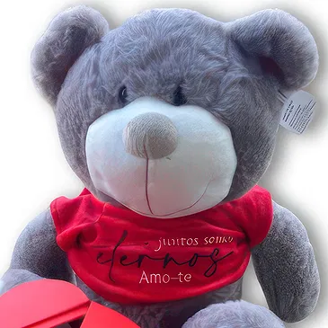 Braga flowers  -  Teddy and box with Rose and Kinder Flower Bouquet/Arrangement
