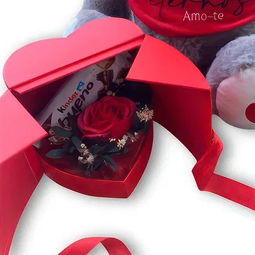 Braga flowers  -  Teddy and box with Rose and Kinder Flower Bouquet/Arrangement