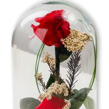 Braga flowers  -  Valentine’s Love Eternal Red Rose  Flower Bouquet/Arrangement