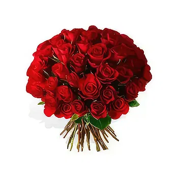 flores Kagoshima floristeria -  Deseo Ramos de  con entrega a domicilio
