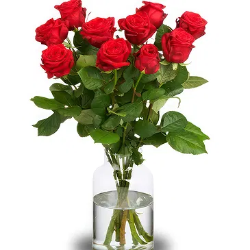 The Hague flowers  -  Red Deep Romance Flower Bouquet/Arrangement