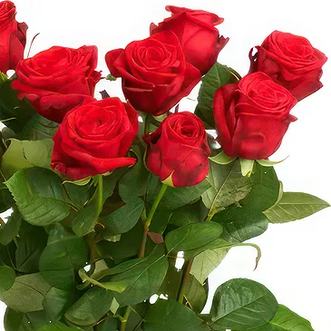 The Hague flowers  -  Red Deep Romance Flower Bouquet/Arrangement