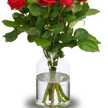 The Hague flowers  -  Red Deep Romance Flower Bouquet/Arrangement