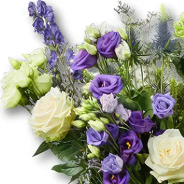 Maastricht flowers  -  Purple Flowers + Free Bear Flower Bouquet/Arrangement