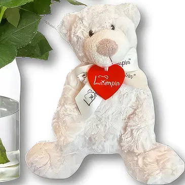 Holland flowers  -  White Roses + Free Bear Flower Bouquet/Arrangement