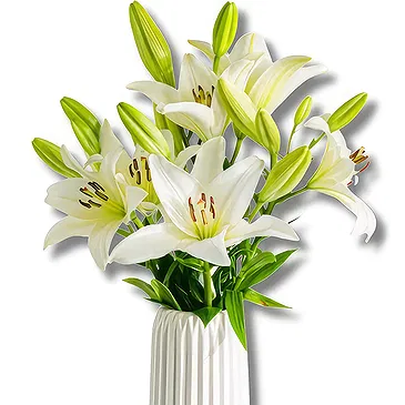 Playa La Arena bloemen bloemist- Een stralend begin: Witte Lelie Schoonheid Boeket/bloemstuk