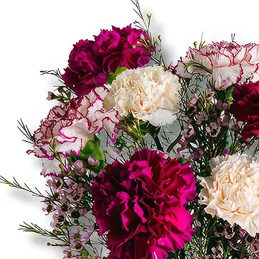 Italy flowers  -  Purple Petals: Bloom Harmony Flower Bouquet/Arrangement
