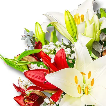 Ibiza flowers  -  Melody of Love: Lilium Fusion Flower Bouquet/Arrangement