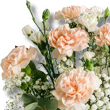 Cala Martina blomster- Romantiske blomster: Pink White Duo Blomsterarrangementer bukett