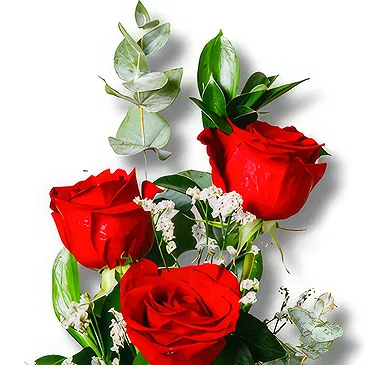 Ariz flowers  -  Red Grace: 3 Red Roses and Green Flower Bouquet/Arrangement