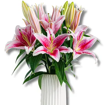 Italy flowers  -  Better Together: Pink Lily Display Flower Bouquet/Arrangement