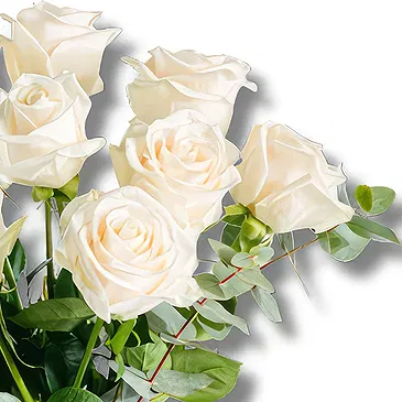 Italy flowers  -  Peace of Mind: Pure Ivory Rose Beauty Flower Bouquet/Arrangement