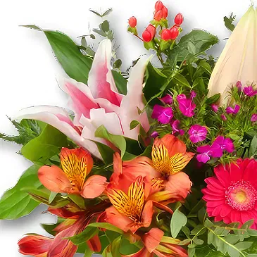 Holland blomster- Tropisk buket Ida Blomst buket/Arrangement