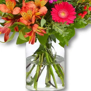 Holland blomster- Tropisk buket Ida Blomst buket/Arrangement