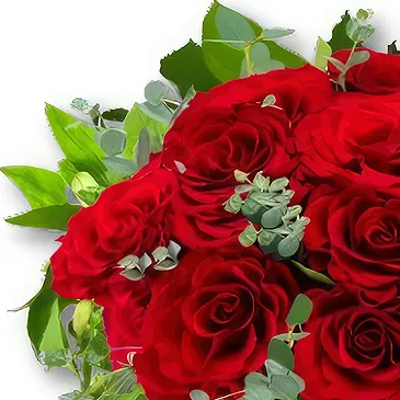 Amsterdam-Zuidoost flowers  -  Romantic Roses Flower Bouquet/Arrangement