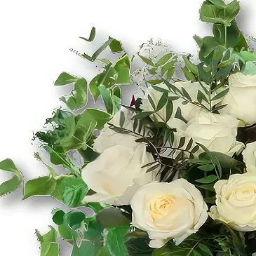 Holland flowers  -  White Roses Bouquet Flower Bouquet/Arrangement