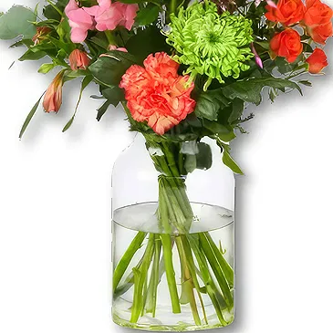 Maastricht flowers  -  Picking Bouquet Leona Flower Bouquet/Arrangement