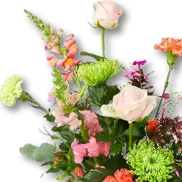 Maastricht flowers  -  Picking Bouquet Leona Flower Bouquet/Arrangement