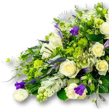 Holland flowers  -  Whole Box Cover 180 - 200 cm Flower Bouquet/Arrangement