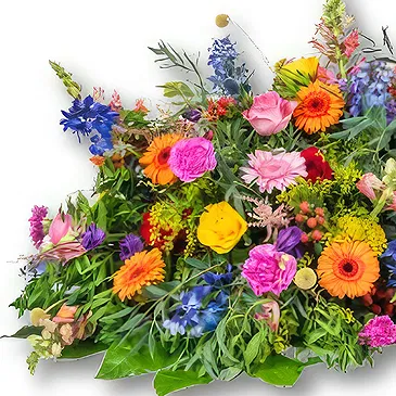 Holland flowers  -  Whole Box Piece 180-200 cm - Wild Flowers Flower Bouquet/Arrangement