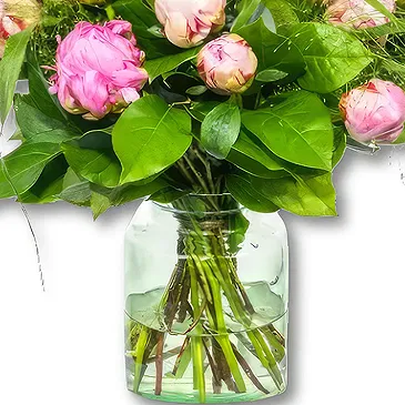 Holland flowers  -  Peony Bouquet Zara Flower Bouquet/Arrangement