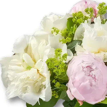 Amsterdam-Zuidoost flowers  -  Peony Bouquet Merel Flower Bouquet/Arrangement