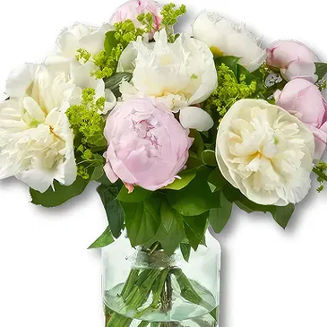 Amsterdam-Zuidoost flowers  -  Peony Bouquet Merel Flower Bouquet/Arrangement