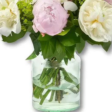 Amsterdam-Zuidoost flowers  -  Peony Bouquet Merel Flower Bouquet/Arrangement