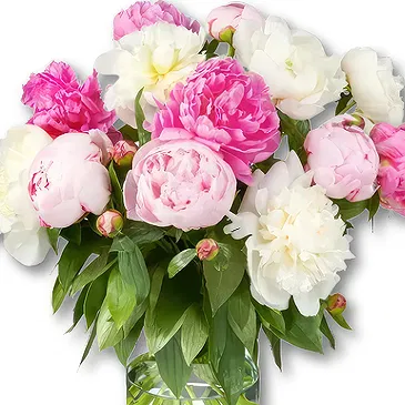 Holland Blumen Florist- Pfingstrosenstrauß Amelie Bouquet/Blumenschmuck