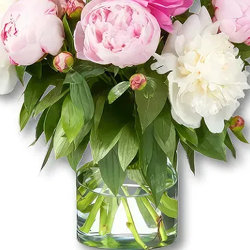 Holland Blumen Florist- Pfingstrosenstrauß Amelie Bouquet/Blumenschmuck