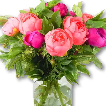 Holland flowers  -  Mixed Peony Bouquet Flower Bouquet/Arrangement