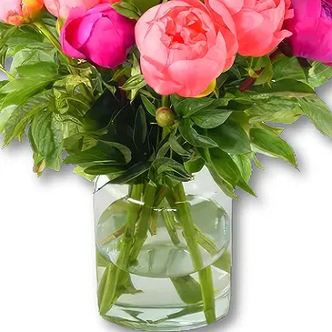 Holland flowers  -  Mixed Peony Bouquet Flower Bouquet/Arrangement