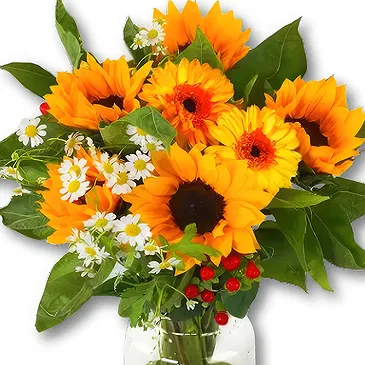 Holland flowers  -  Sunflower Bouquet Charlie Flower Bouquet/Arrangement