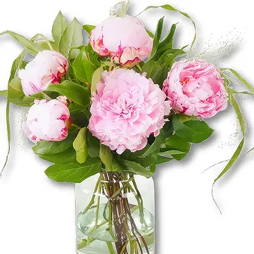 Amsterdam-Zuidoost flowers  -  Pink Double Peonies Bouquet Flower Bouquet/Arrangement